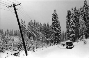 St. Blasien - Todtmoos: Straße mit herunterhängenden Telefondrähten