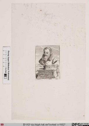 Bildnis Balthasar Paumgartner (I)