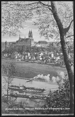 Meißen. Blick von Proschwitz - Elbe mit Dampfer