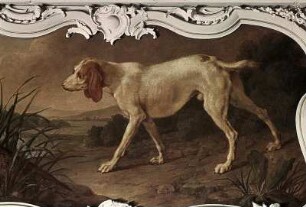 Hund, ein Fasanenpaar am Nistplatz aufstöbernd