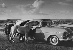 Archivfotografie "ausland_wales_5642"