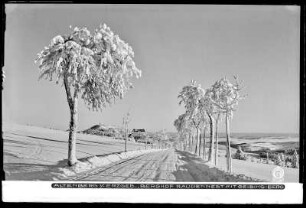 Altenberg im Erzgebirge, Berghof Raupennest mit Schnee und Geisingberg