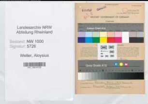 Entnazifizierung Aloysius Weller, geb. 13.04.1893 (Verwaltungsangestellter)