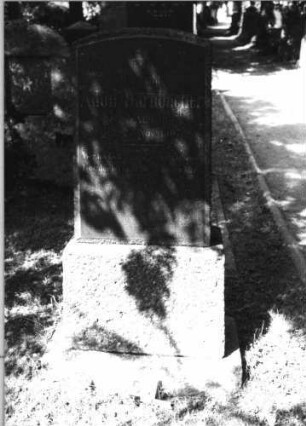 Grabstein 51 (Index: 100085010) Maße HxBxT: 147x55x24 cm Beschreibung: Stele, Sockel, Segmentbogenabschluß, Schriftplatte Symbolik: Davidstern: Grabstein 51