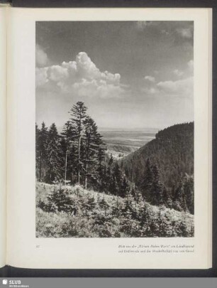Blick von der "Kleinen Hohen Warte" am Lütschegrund auf Gräfenroda und das Muschelkalkplateau von Gossel