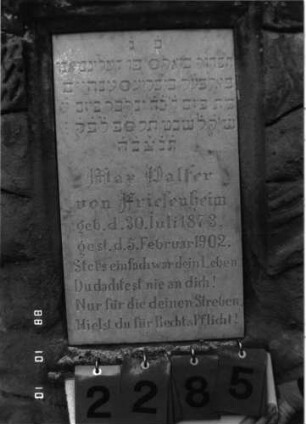 Grabstein 2285 (Index: 100097407) Maße HxBxT: 157x57x29 cm Symbolik: Baumstamm: Grabstein 2285 (Nachholaufnahme 2)