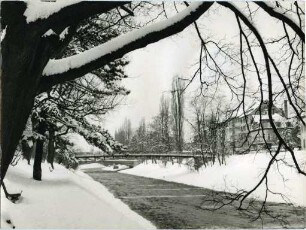 Freiburg im Winter