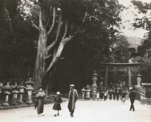 Nara, Japan. Eingang zum Shinto-Schrein Kasuga-Taisha. Touristen am Torii und steinernen heiligen Laternen, links uralte Kryptomerie (Japanische Zeder)