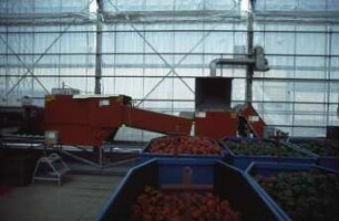 Fotografie: Gartenbautechnik-Freiland, Nacherntetechnik, Aufbereitung