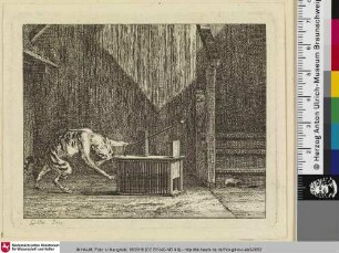 [Die Katze und die Maus; Le Chat et la Souris]