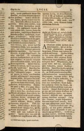 81-91, Caput XIII - XX