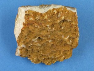 Chalcedon
