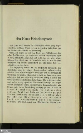 Der Homo Heidelbergensis