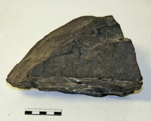 Kohleneisenstein aus dem Flöz Dickebank der Zeche Friederika
