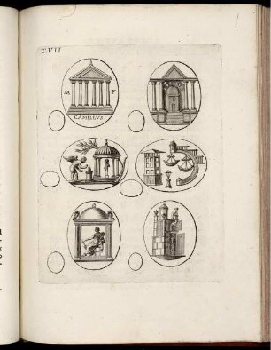 [Abbildung und Abbildungsbeschreibung] Tabula VII. [-] Tabula VIII.