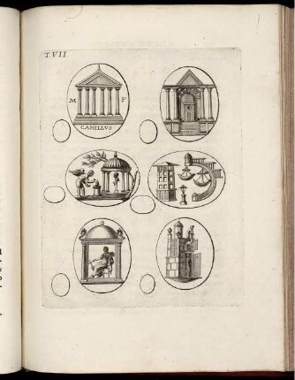 [Abbildung und Abbildungsbeschreibung] Tabula VII. [-] Tabula VIII.