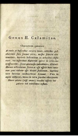 Genus II. Calamitae.
