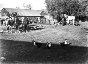 Russischer Bauernhof : Bauernhof mit Pferden, Gänsen, Gebäuden und Personen