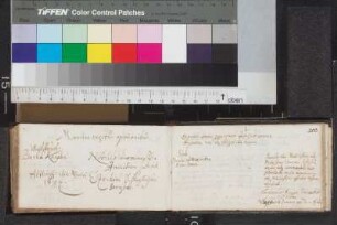 Schlagbalsam, Ezechiel; Blatt 99v