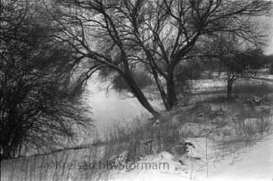 Steinfelderhude: Altarm der Trave mit Reet und Büschen: Winter