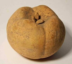 Granatapfel(?)