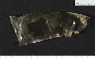 CIL XV 4434 δ, Gelatinefolie