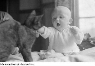 Porträt Kleinkind mit Katze