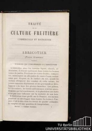 Abricotier (Prunus armeniaca)