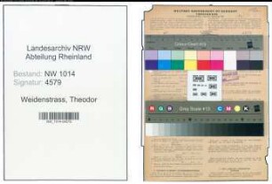 Entnazifizierung Theodor Weidenstrass , geb. 04.06.1906 ()