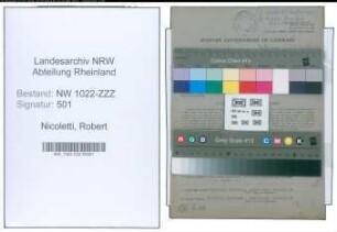 Entnazifizierung Robert Nicoletti , geb. 19.03.1901 (Haendler)