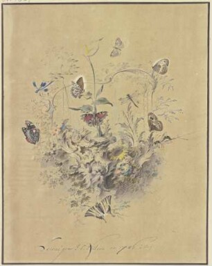 Rocaille-Ornament mit einer Kalla und anderen Blumen, Schmetterlingen wie Perlmutterfalter, Pfauenauge und Segelfalter sowie Libellen und einer Raubmücke