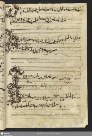 [J. Obrecht:] [Missa] plurimor[um] Carmin[um]