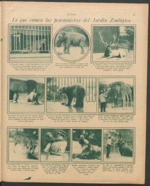 Lo que comen los pensionistas del Jardín Zoológico