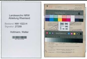 Entnazifizierung Walter Hollmann , geb. 16.05.1900 (Handelsvertreter)