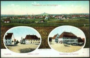 Totalansicht von Herbertingen
