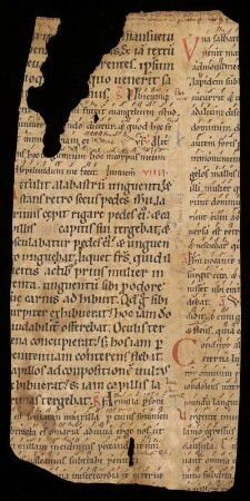Breviarium plenum (Fragment)