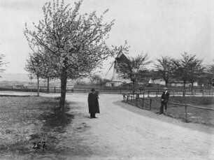 Dresden-Leutewitz