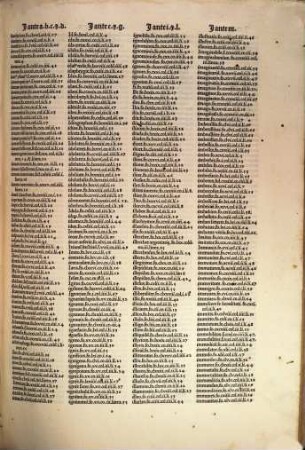 Nic. Perotti Cornucopiae : sive Commentarii Linguae Latinae in Martialem