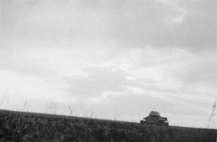 Zweiter Weltkrieg. Frontbilder. Sowjetunion. Panzer auf grasbewachsener Ebene