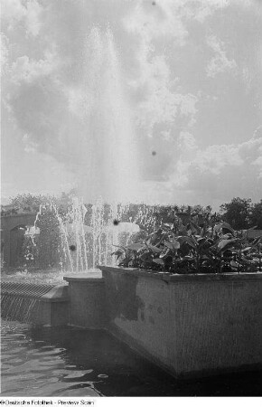 Springbrunnen