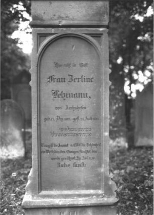 Grabstein 206 (Index: 99609842) Material: Sandstein Zustand: gut, Schrift mit schwarzer Farbe nachgezogen Beschreibung: Stele, Segmentbogenabschluß mit Verdachung und Urnenaufsatz, Schriftfeld eingetieft mit Rundbogenabschluß, Sockel Symbolik: Urne, Rosetten: Grabstein 206C (Nachholaufnahme 7)