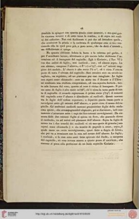 VI. Sopraornato, es sue parti