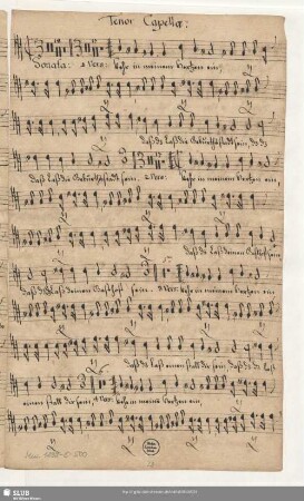 Tenor Capellae: