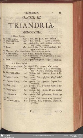 Classis III. Triandria