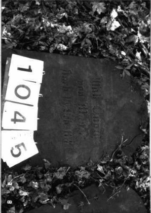 Grabstein 1045 (Detailaufnahme)