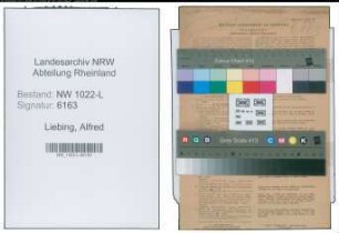 Entnazifizierung Alfred Liebing , geb. 03.06.1890 (Verwaltungsbeamter)