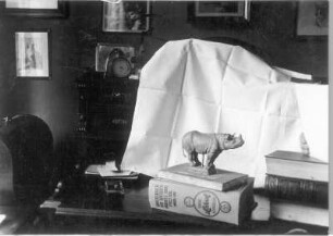 Interieur mit Nashorn-Statuette : Interieur mit Nashorn-Statuette (mit Hintergrundabdeckung für die Aufnahme, vor 1945; E. Richter) in der Wohnung der Bildhauerin in Dresden