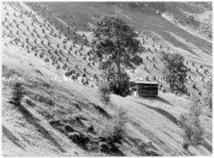 Heuhaufen auf einer Bergwiese