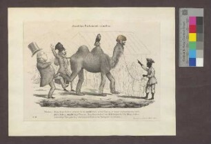 Insolitus Parlamenti camelus.