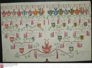 Ahnenprobe des Berhard Ludwig Joachim Reichling v. Meldegg. - ausgefertigt 1738 November 4, Papier, Kopie